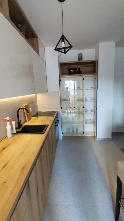 Apartman Aleksa Жабляк Екстер'єр фото
